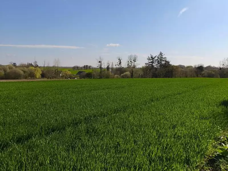 Terrain, 1 400 m²