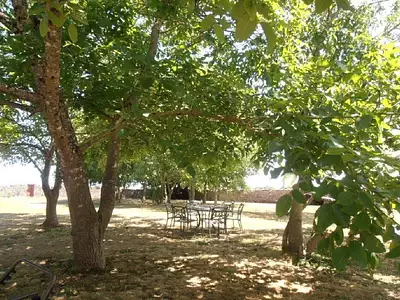 Maison, 405 m²