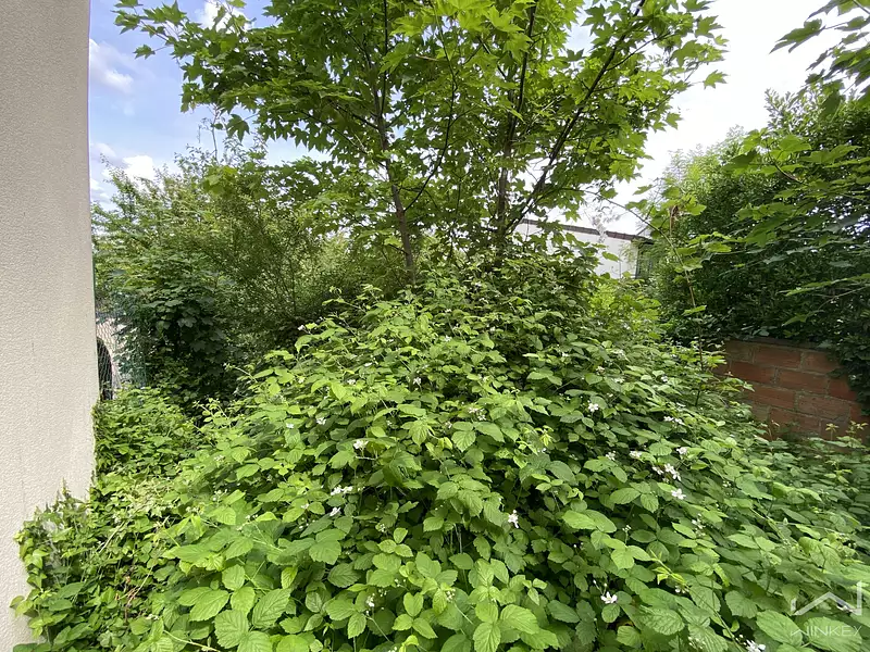 Terrain, 606 m²