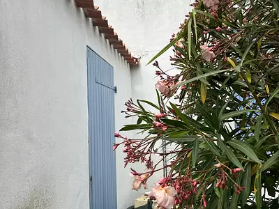 Maison, 52 m²