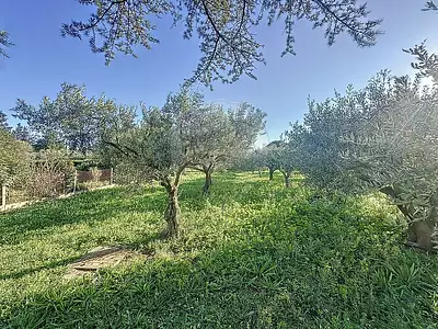 Maison, 300 m²