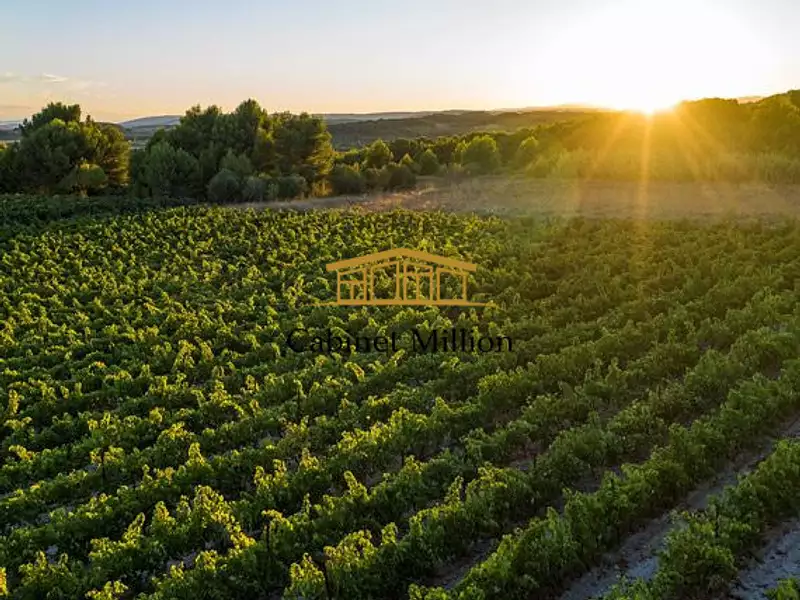 Terrain, 110 000 m²