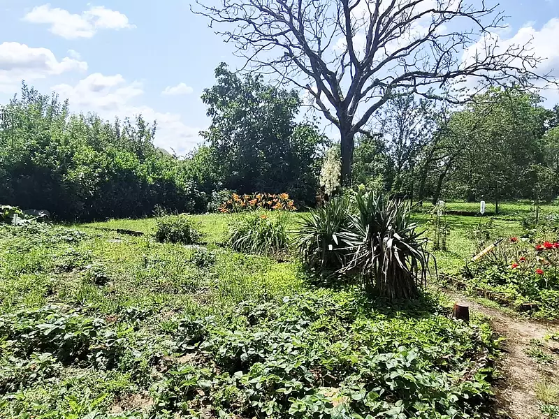 Maison, 146 m²
