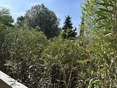 Appartement, 44 m²