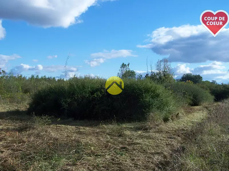 Terrain, 4 295 m²