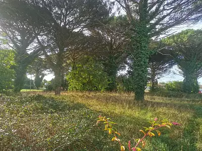 Terrain à bâtir, 1 045 m²