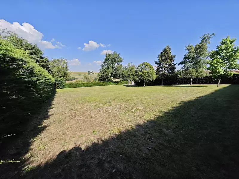 Terrain, 981 m²