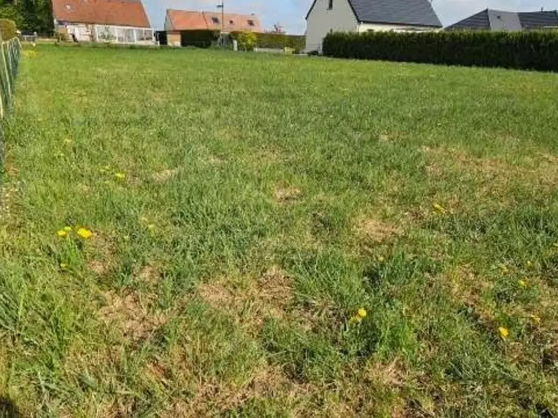 Terrain, 1 043 m²