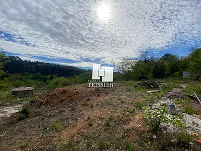 Terrain