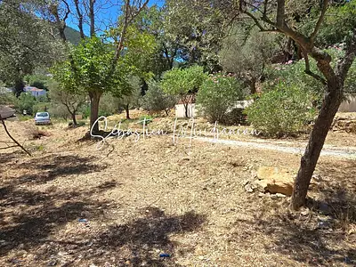 Terrain, 2 009 m²