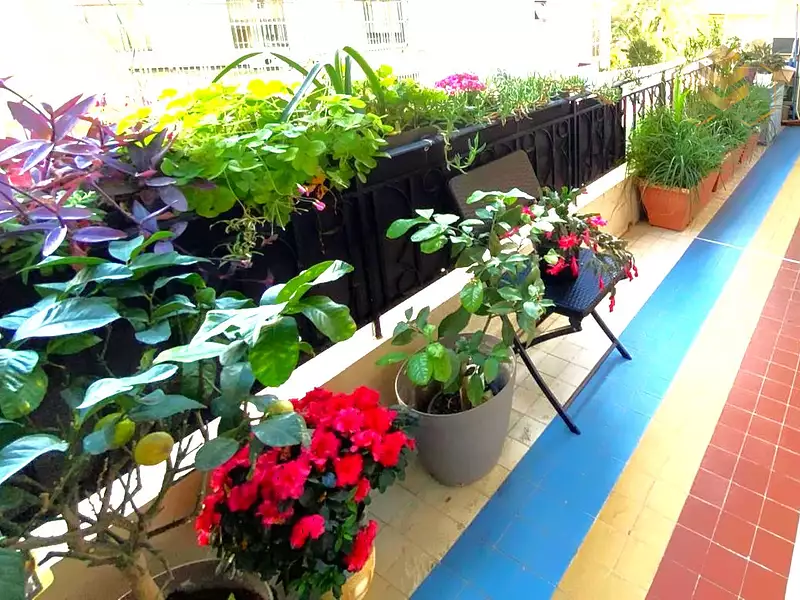Appartement, 66 m²