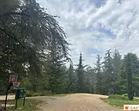 Terrain, 1 135 m²