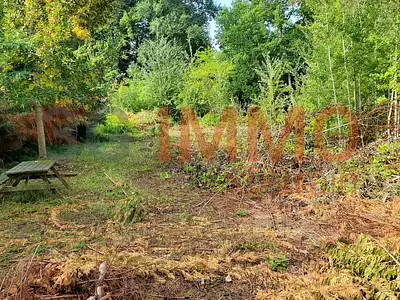 Terrain, 2 785 m²