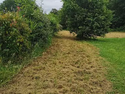 Terrain, 2 388 m²