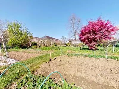 Maison, 290 m²
