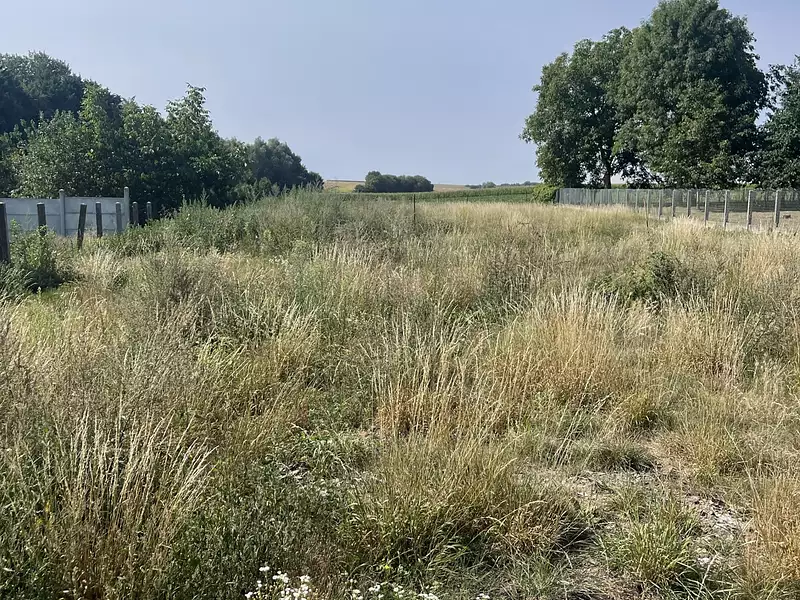 Terrain, 626 m²