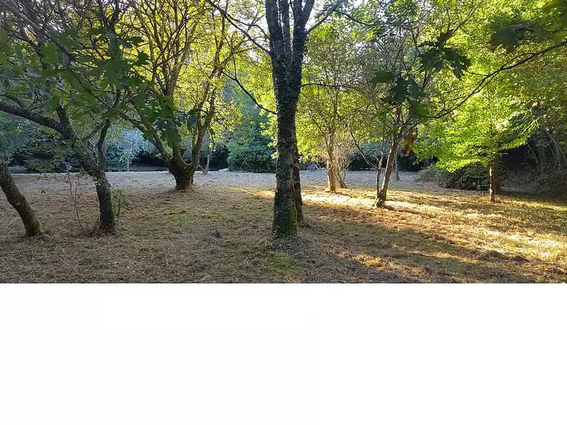 Maison, 212 m²