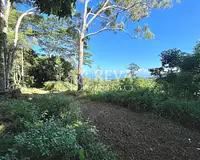 Terrain, 1 000 m²