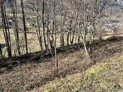 Terrain, 356 m²