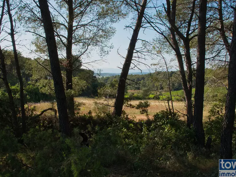 Terrain, 42 302 m²