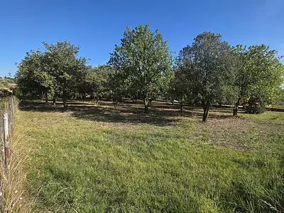 Terrain, 1 490 m²