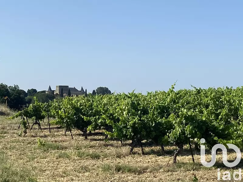 Terrain, 216 211 m²