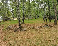Terrain, 587 m²