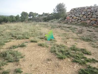 Terrain, 619 m²