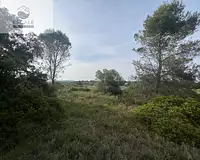 Terrain, 6 091 m²