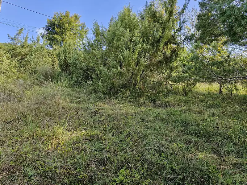 Terrain, 539 m²