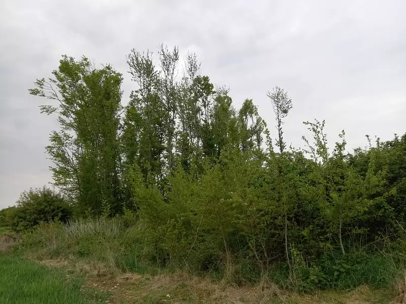 Terrain, 2 924 m²