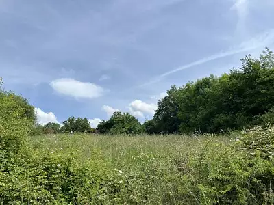 Terrain, 8 294 m²
