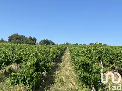 Terrain, 105 426 m²