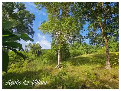 Terrain, 2 983 m²