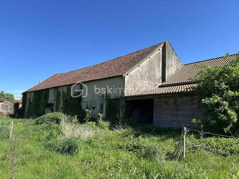 Terrain, 13 246 m²