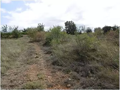 Terrain, 12 265 m²