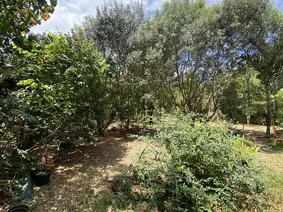 Maison, 220 m²