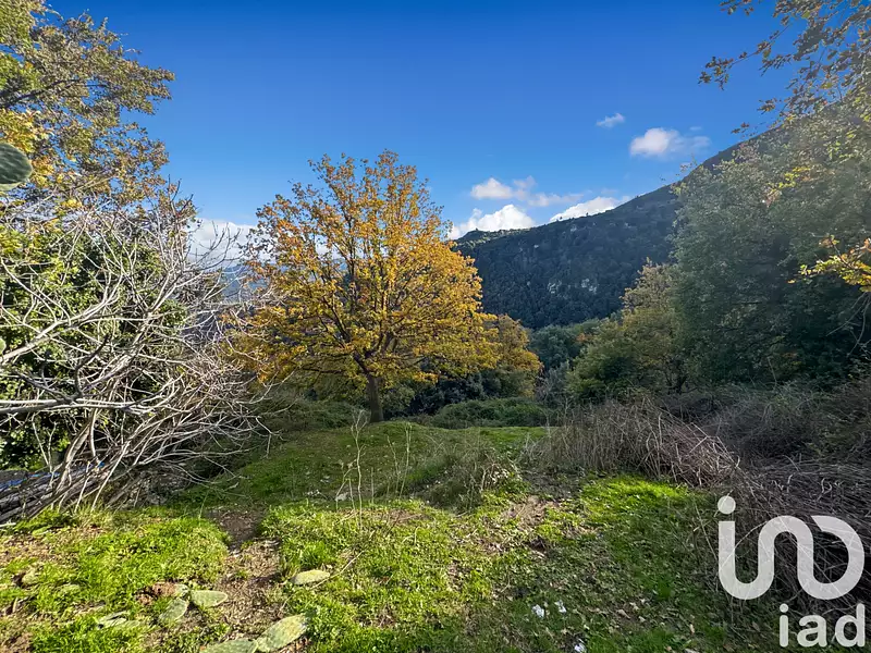 Terrain, 842 m²