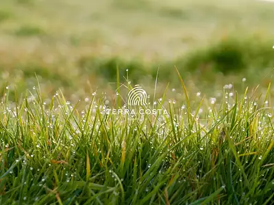 Terrain, 1 200 m²