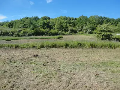 Terrain, 869 m²
