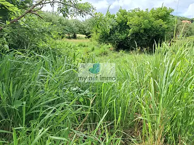 Terrain, 599 m²