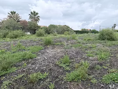 Terrain, 575 m²