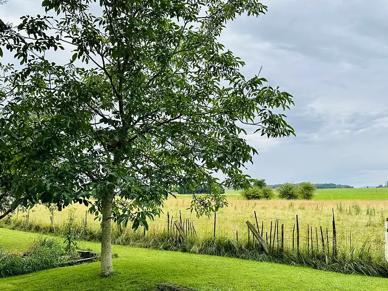 Maison, 84 m²
