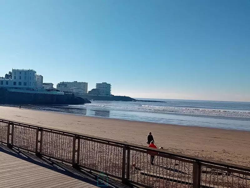 Appartement, 50,45 m²