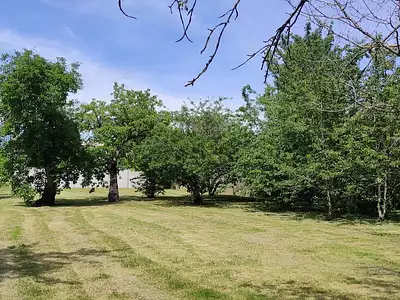 Terrain, 1 050 m²
