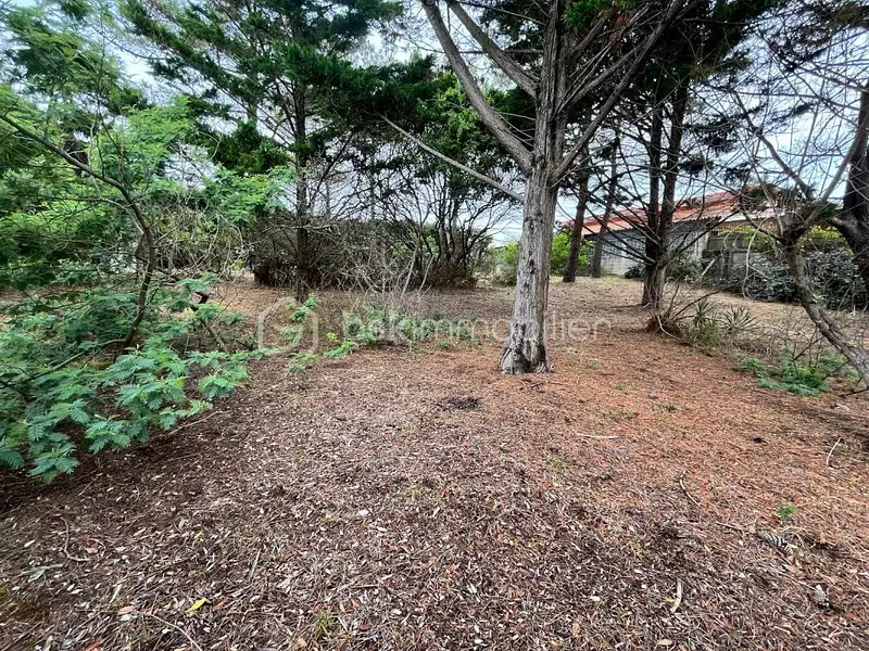 Terrain, 908 m²