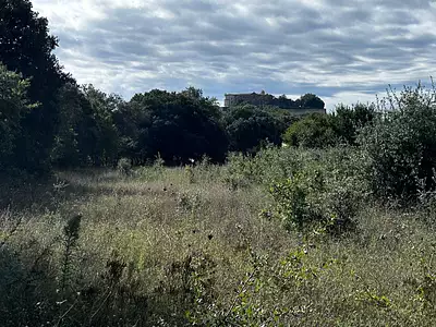 Terrain, 1 200 m²