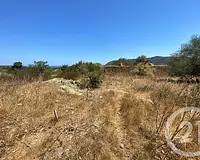 Terrain