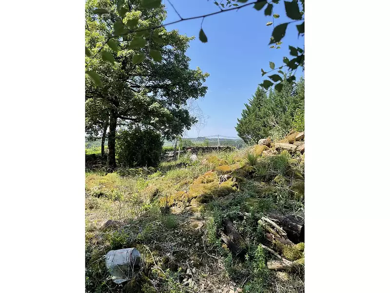 Terrain, 665 m²