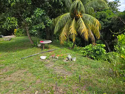 Terrain, 4 525 m²
